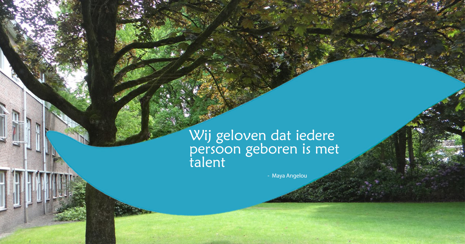 Stichting Vitaliteit