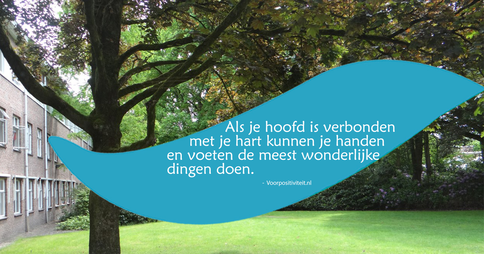 Stichting Vitaliteit